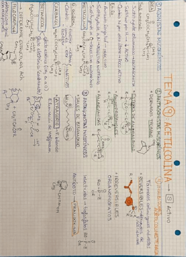 Miniatura del documento TEMA-9.pdf