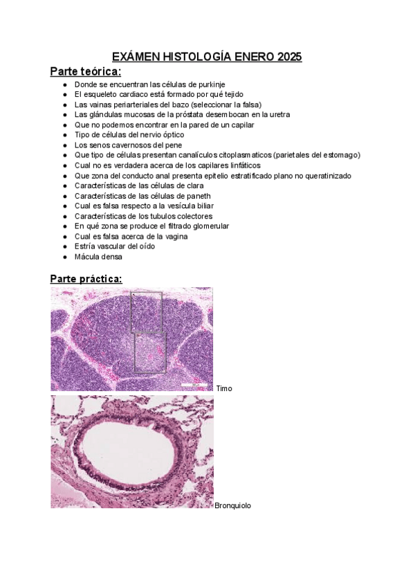 Miniatura del documento Examen-histologia-enero-2025.pdf