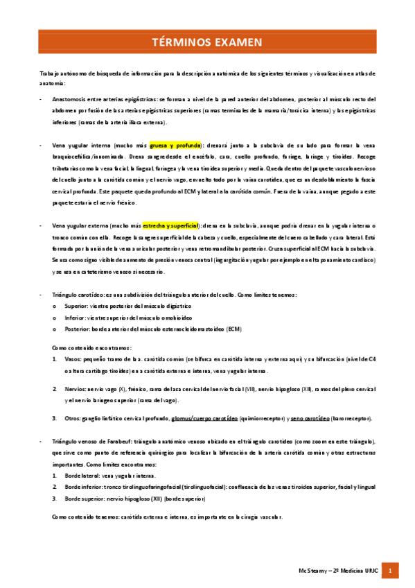 Miniatura del documento TERMINOS-VASCULAR.pdf