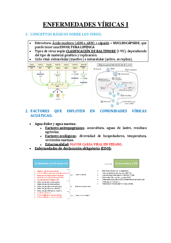 Miniatura del documento 1.ENFERMEDADES-VIRICAS-I-Y-II.pdf