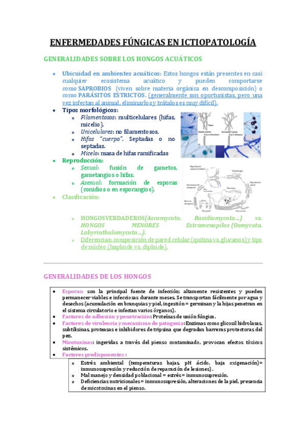 Miniatura del documento 2.ENFERMEDADES-FUNGICAS-I-Y-II.pdf
