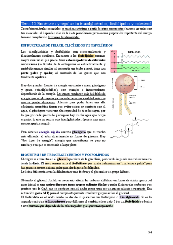Miniatura del documento BIO2-Tema10.pdf
