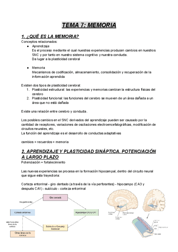 Miniatura del documento TEMA-7-MEMORIA.pdf