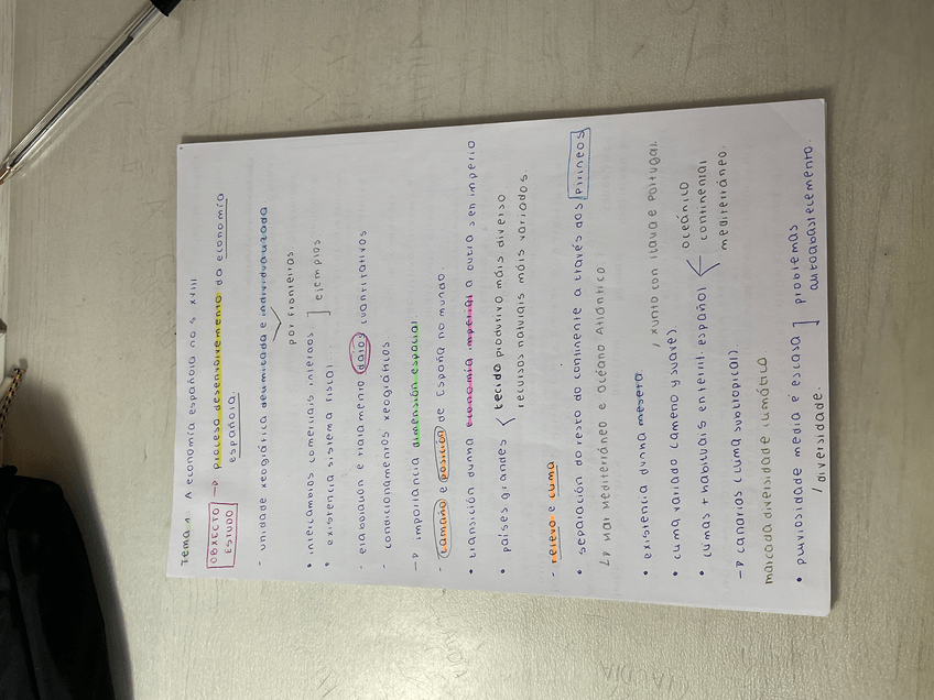 Miniatura del documento IMG3334.jpeg