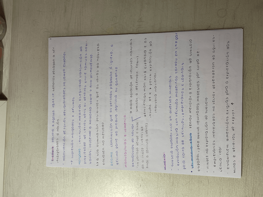 Miniatura del documento IMG3346.jpeg