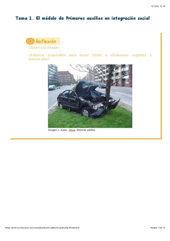 Miniatura del documento TEMA-1.pdf