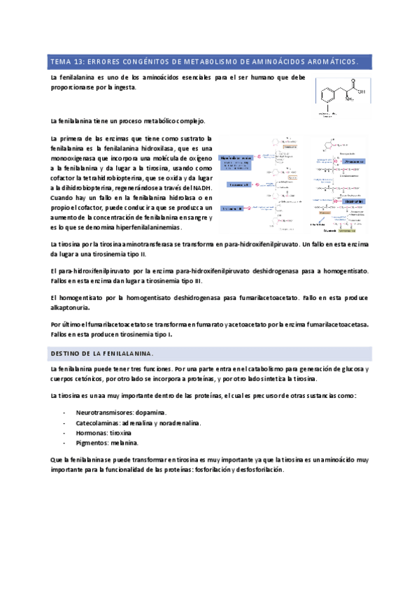 Miniatura del documento TEMA-13.pdf