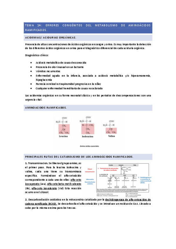 Miniatura del documento TEMA-14.pdf