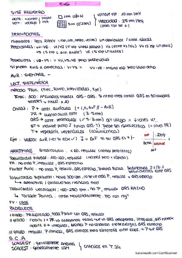 Miniatura del documento SEMINARIOS-CRITICOS-RESUMIDOS.pdf