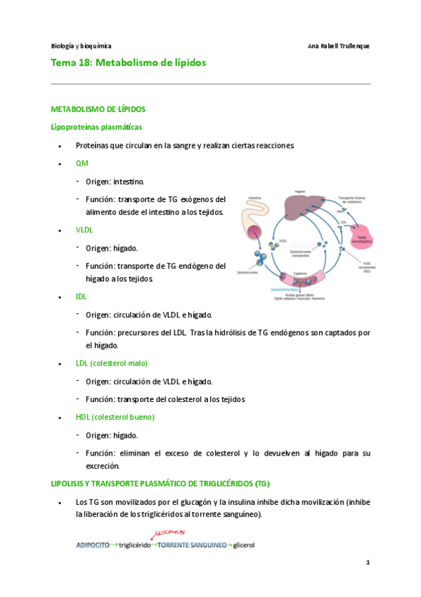 Miniatura del documento Tema-18.pdf