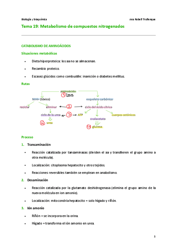 Miniatura del documento Tema-19.pdf