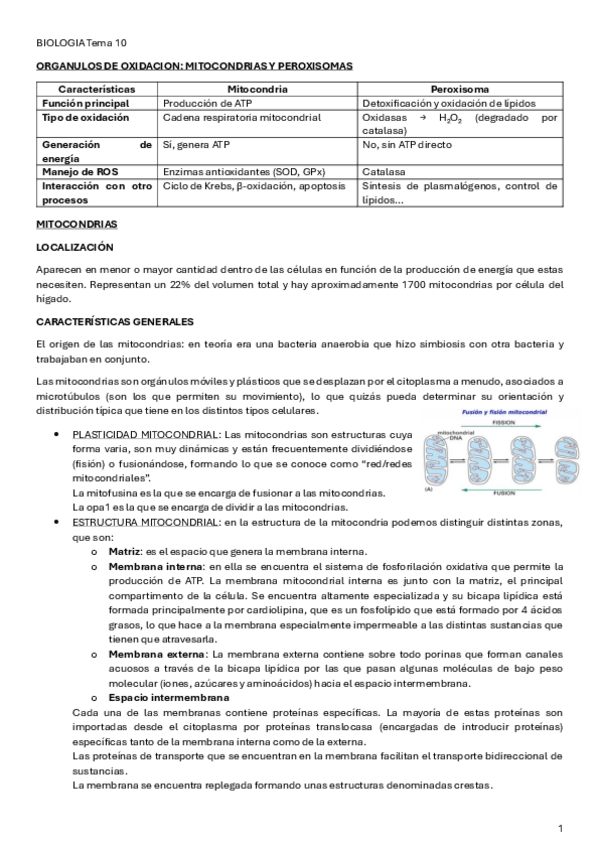 Miniatura del documento BIOLOGIA-Tema-10.pdf