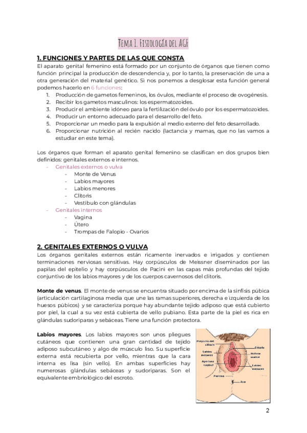 Miniatura del documento GINE-T1.pdf