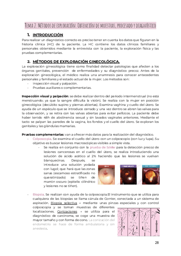 Miniatura del documento GINE-T2.pdf