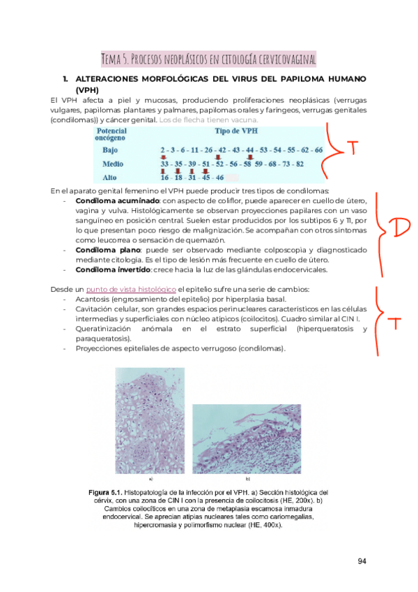 Miniatura del documento GINE-T5.pdf