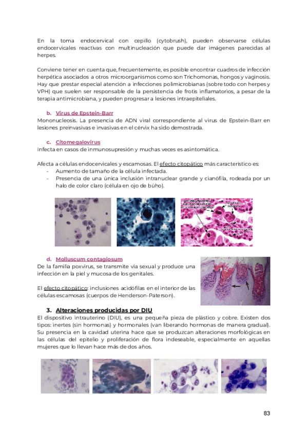 Miniatura del documento GINE-T4-parte-2.pdf