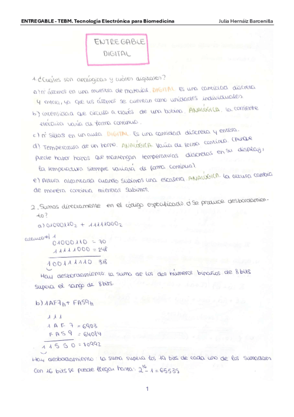 Miniatura del documento EntregableDigital.pdf