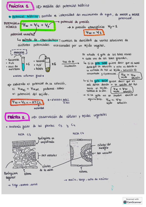 Miniatura del documento RESUMEN-PRACTICAS-FV.pdf