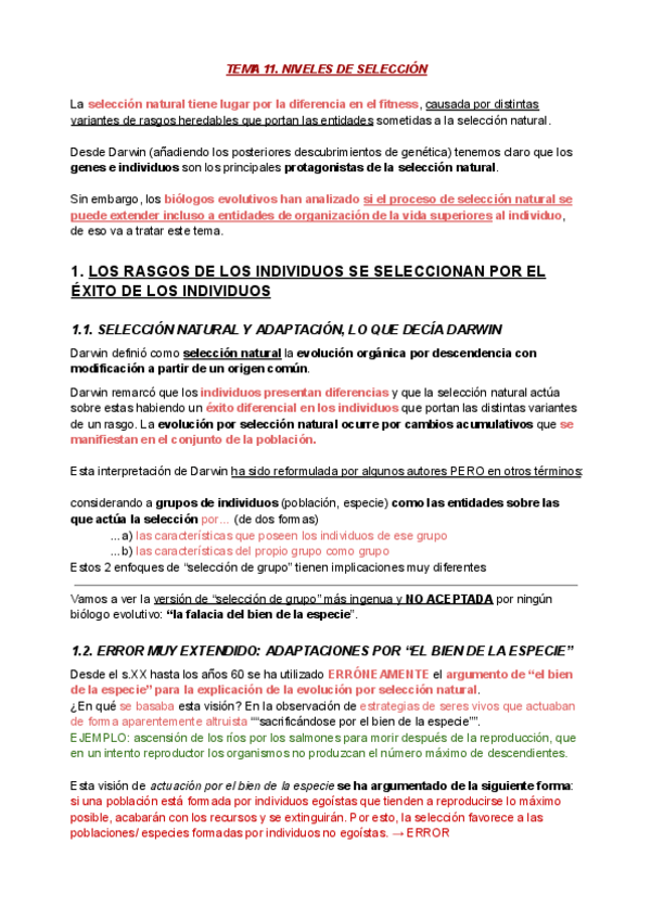Miniatura del documento BE-T11.-NIVELES-DE-SELECCION.pdf