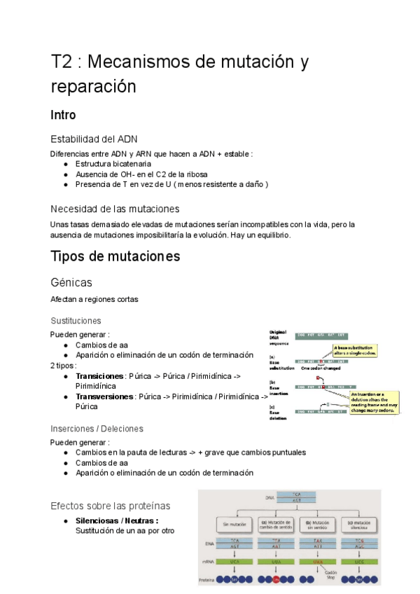 Miniatura del documento Resumen-T2--Completo-.pdf