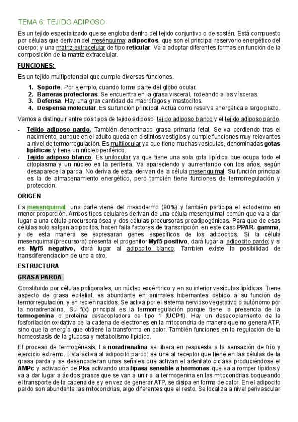 Miniatura del documento TEMA-6 TEJIDO ADIPOSO.pdf