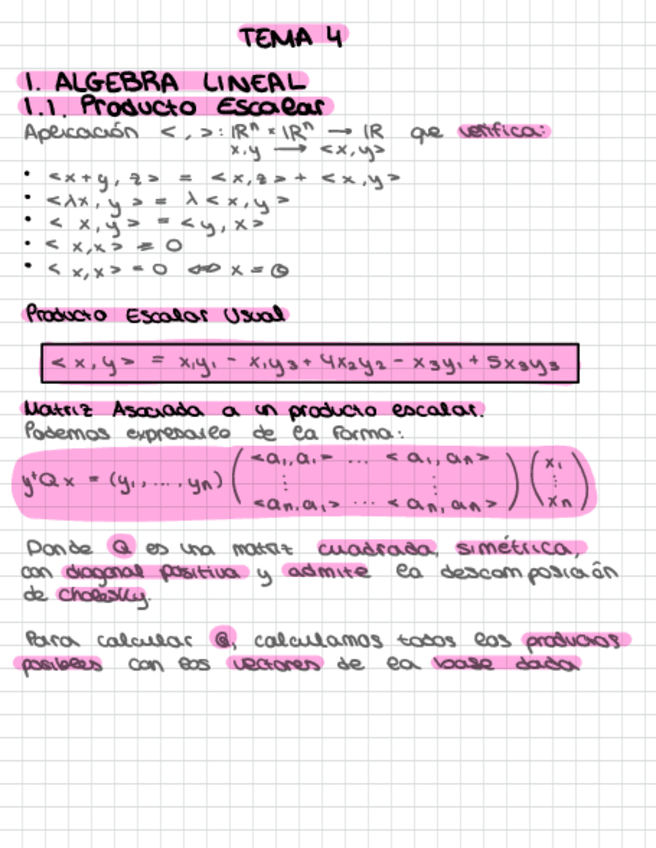 Miniatura del documento Resumen-T4-ALN.pdf