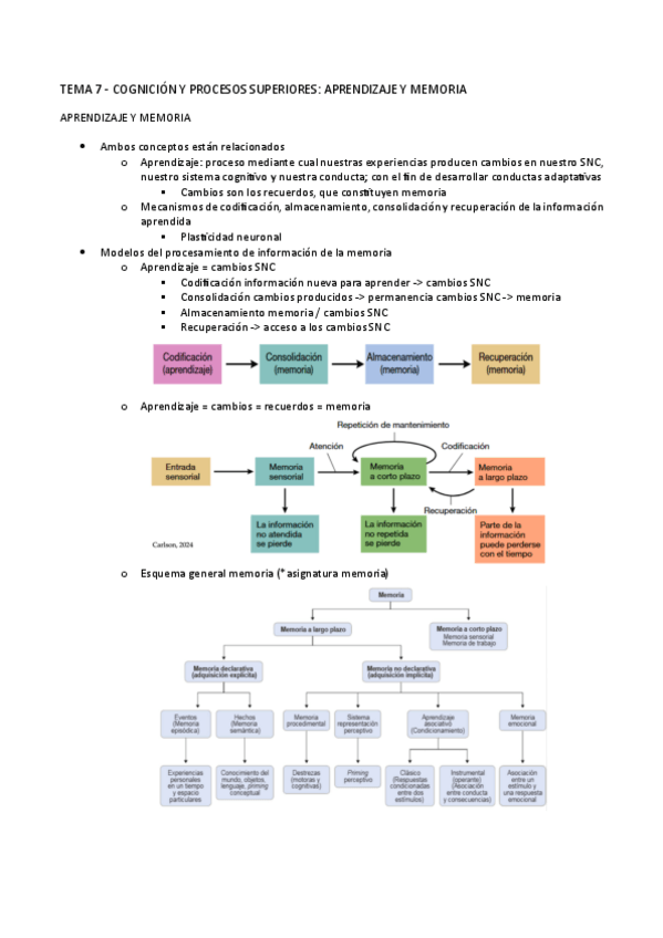 Miniatura del documento TEMA-7.-PSICOBIO-II.pdf