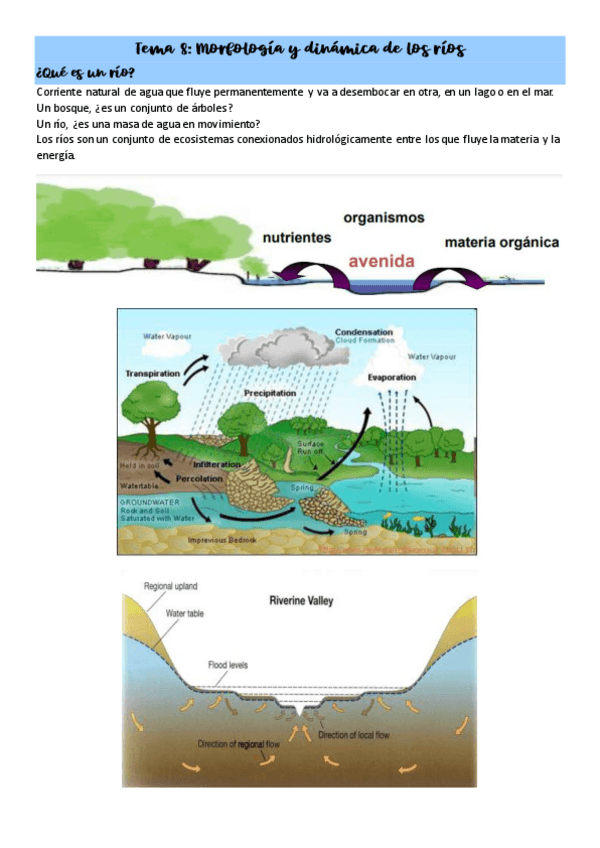 Miniatura del documento Tema-8-Morfologia-y-dinamica-de-los-rios.pdf