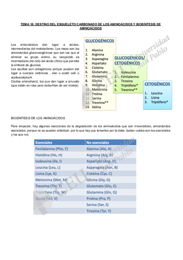 Miniatura del documento Bioquimica-metabolica-natalia-TEMA-18.pdf