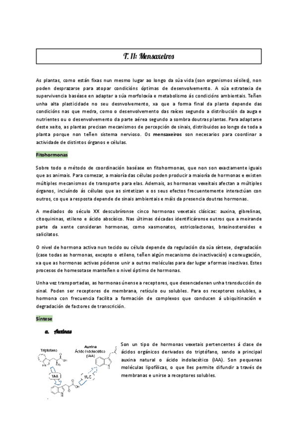 Miniatura del documento T11.1-fv-fotos.pdf
