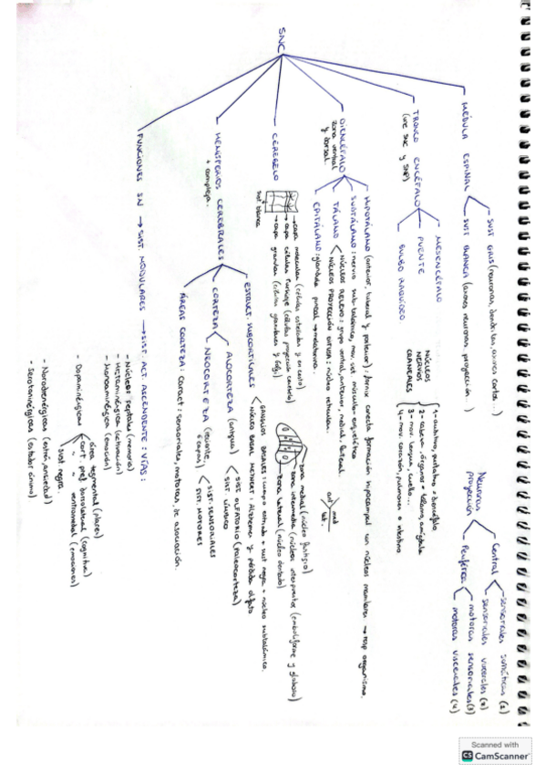 Miniatura del documento mapa-conceptual-tema-8-psicobiologia.pdf