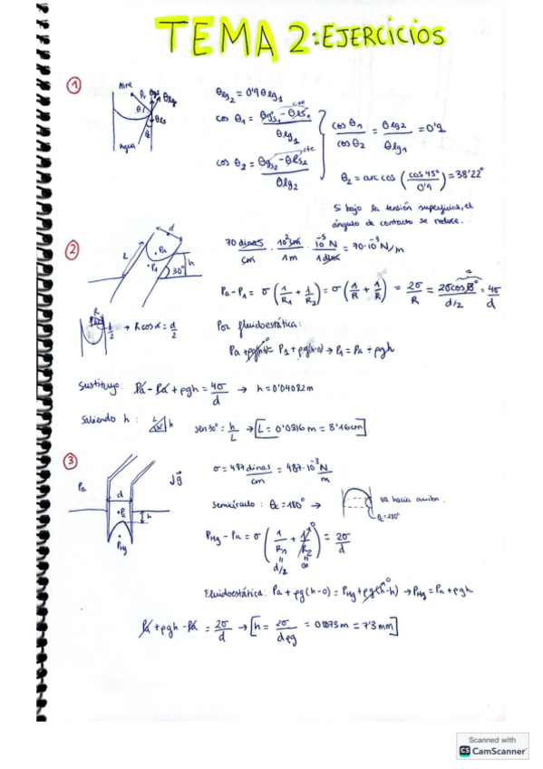Miniatura del documento TEMA-2-fluidos.pdf