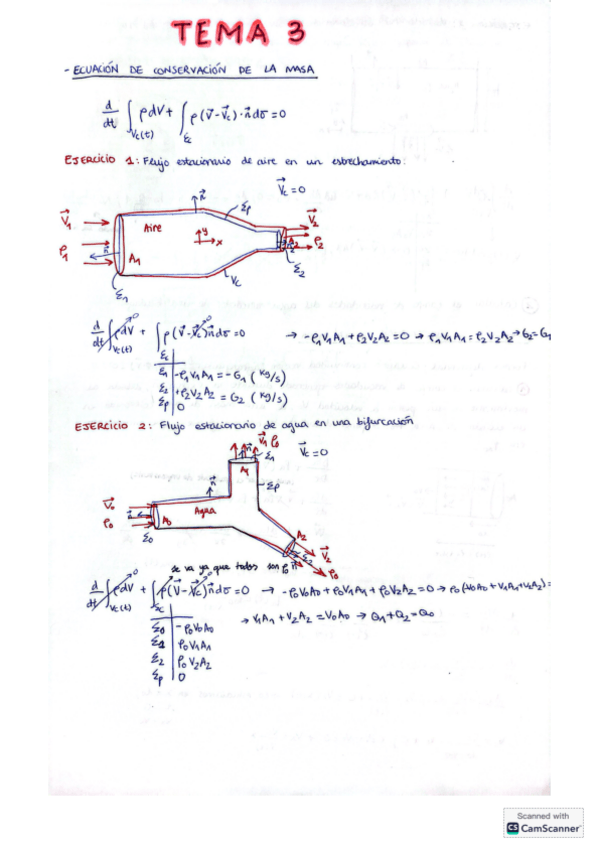 Miniatura del documento TEMA-3-Fluidos.pdf