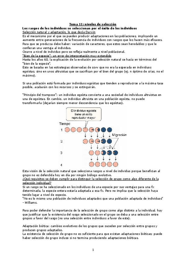 Miniatura del documento biologia-evolutiva-11.pdf