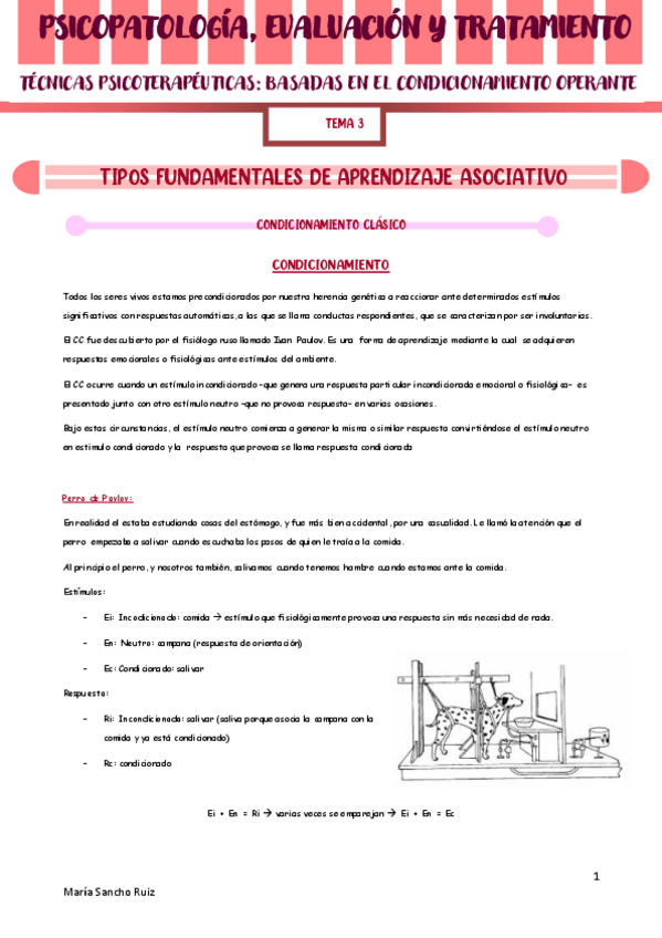 Miniatura del documento TEMA-3-PSICOPAT.pdf