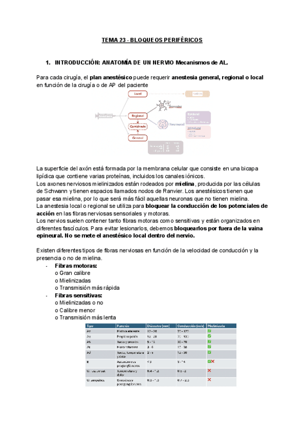 Miniatura del documento TEMA-23-BLOQUEOS-PERIFERICOS.pdf
