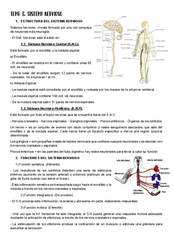 Miniatura del documento TEMA-5.pdf