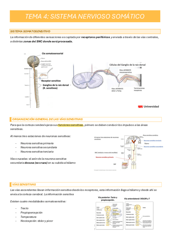 Miniatura del documento tema-4.pdf