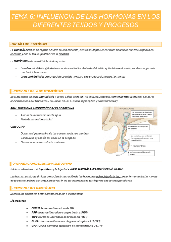 Miniatura del documento tema-6.pdf