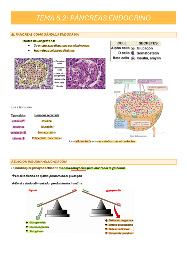 Miniatura del documento tema-6.2-y-6.3.pdf