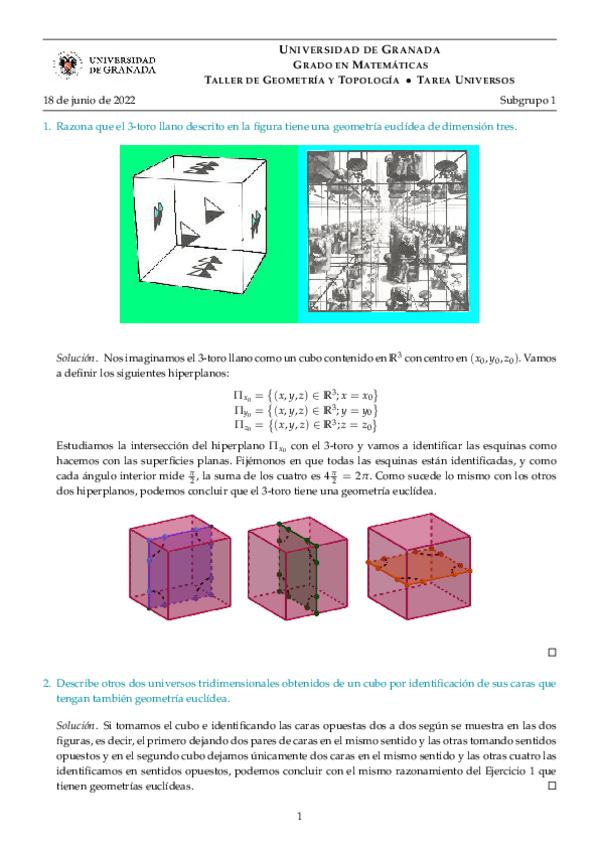 Miniatura del documento Tarea-Geometrias-de-un-Universo-Subgrupo-1.pdf