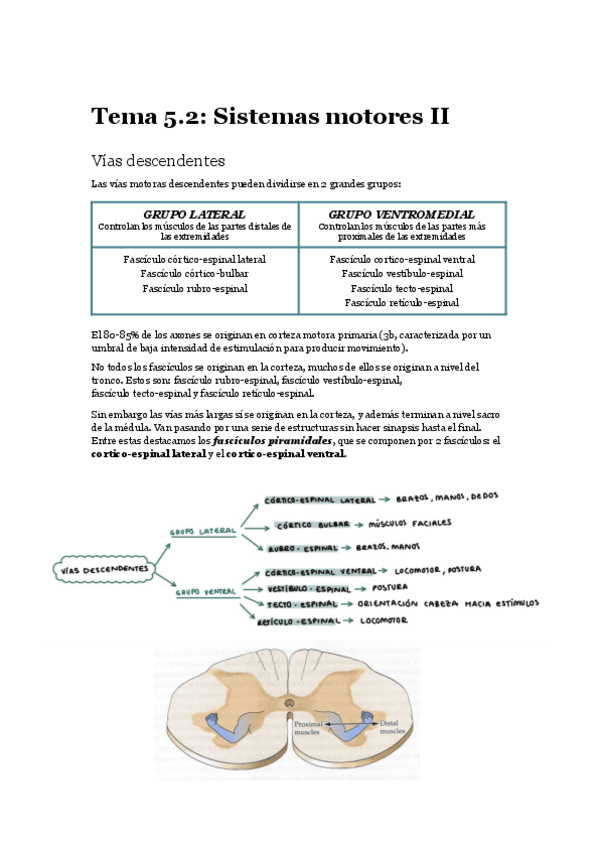 Miniatura del documento Tema-5.2-Sistemas-Motores-II.pdf