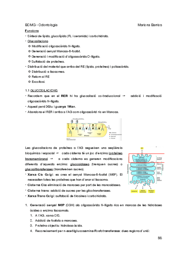 Miniatura del documento BIOLOGIA-CELLULAR-2a-PART.pdf