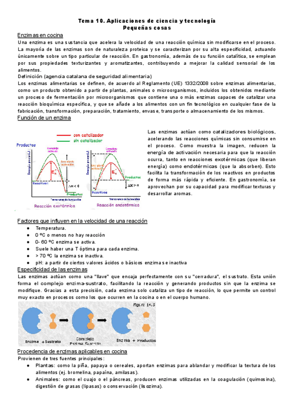 Miniatura del documento Tema-10.-Aplicaciones-CyT.-Pequenas-cosas.pdf