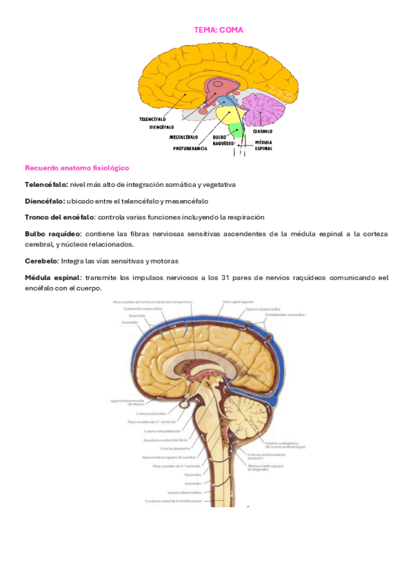 Miniatura del documento Criticos-Neuro-II-3.pdf