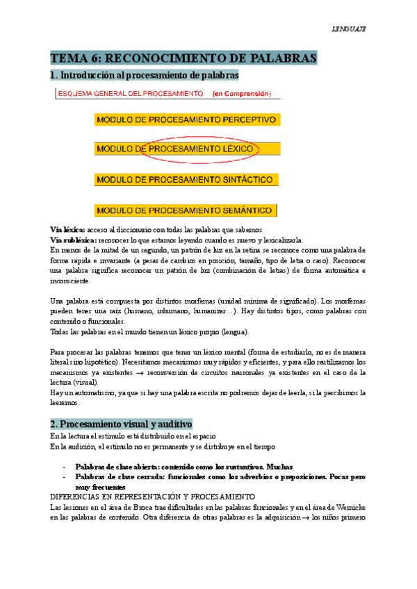 Miniatura del documento TEMA 6 - Lenguaje.pdf