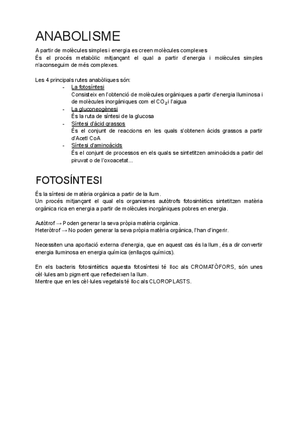 Miniatura del documento ANABOLISME.pdf