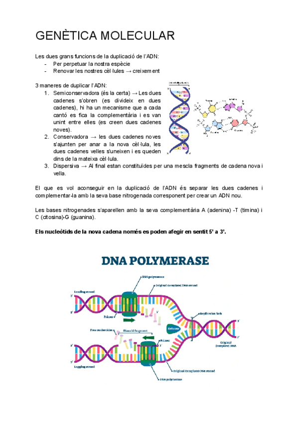 Miniatura del documento GENETICA-MOLECULAR.pdf