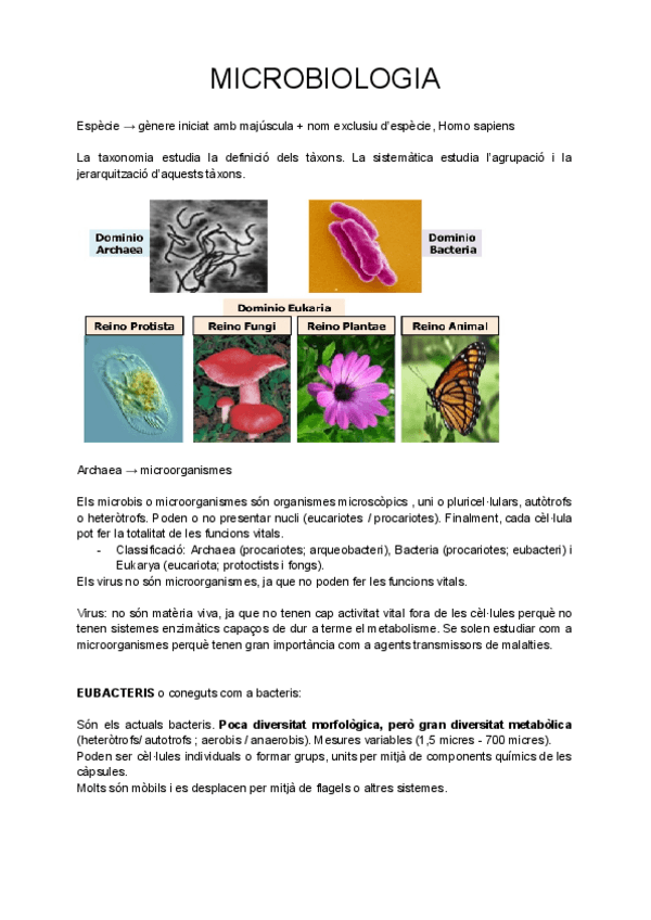Miniatura del documento MICROBIOLOGIA.pdf