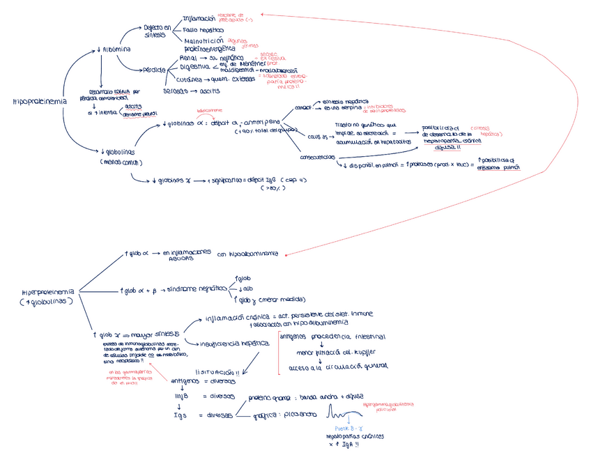 Miniatura del documento CAPITULO-49-esquema.pdf